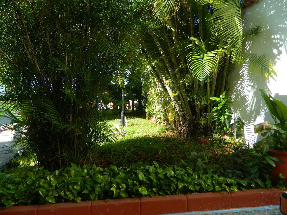 Hotel Colon Mérida Zewnętrze zdjęcie